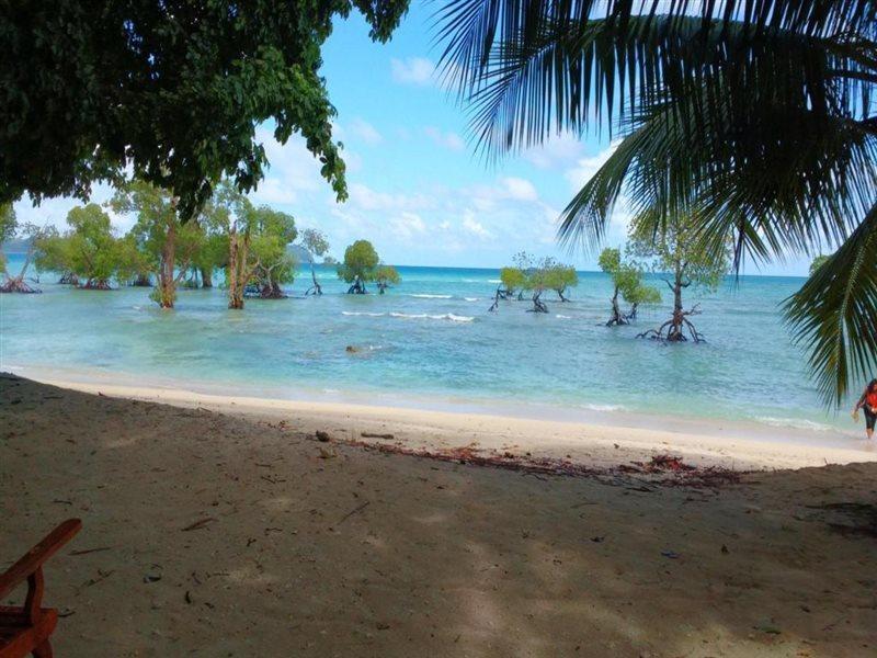 Coconhuts Beach Resort Lakshmanpur Kültér fotó