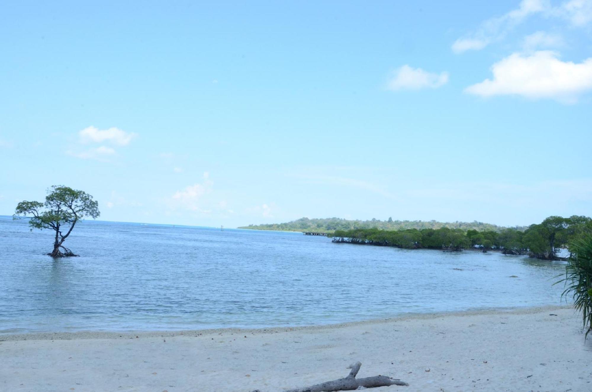 Coconhuts Beach Resort Lakshmanpur Kültér fotó