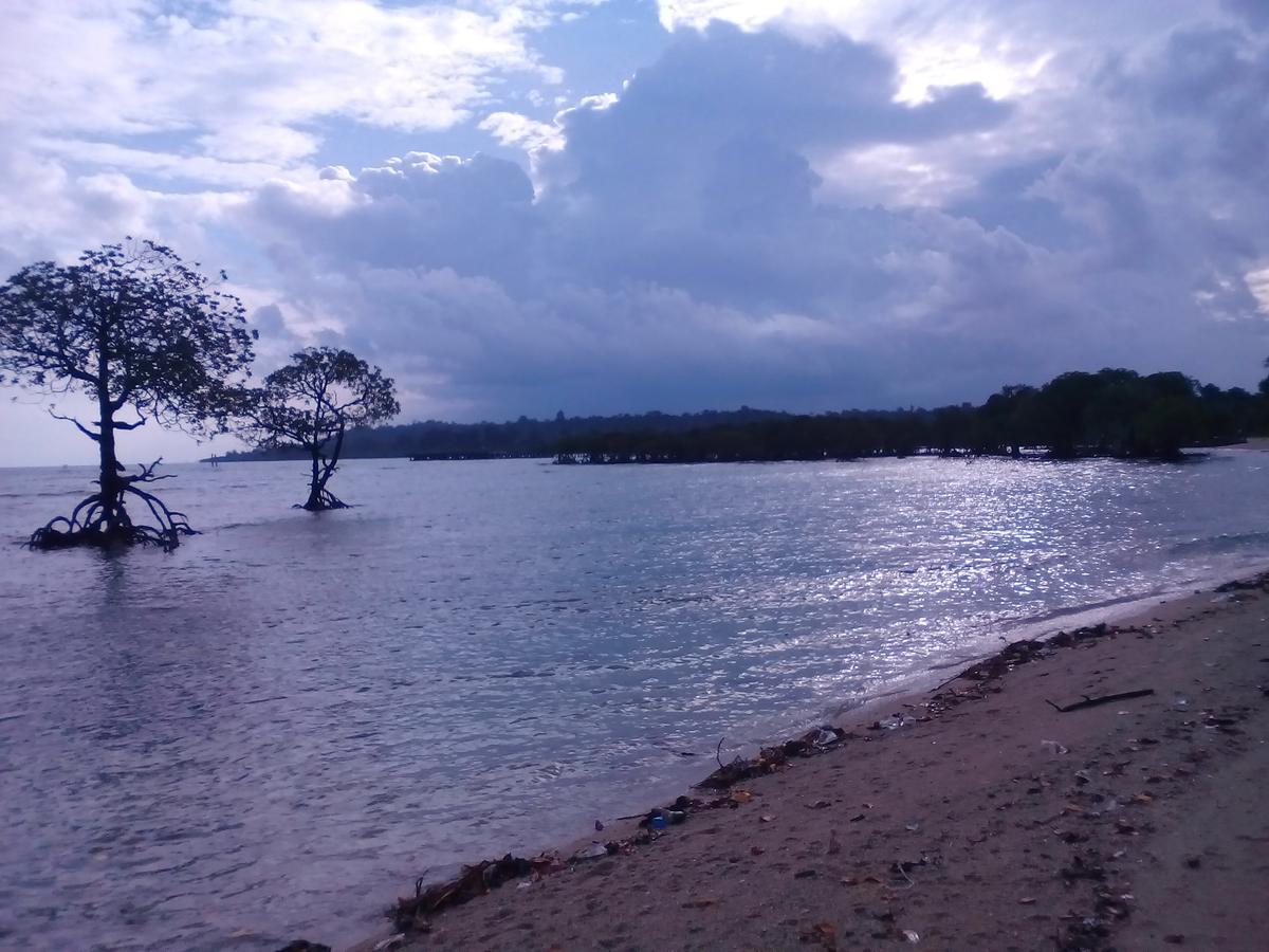 Coconhuts Beach Resort Lakshmanpur Kültér fotó
